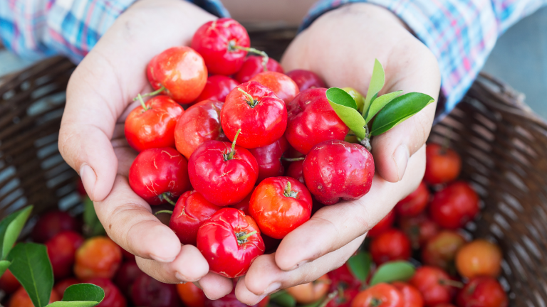 Read more about the article Acerola fortalece a imunidade; veja 9 benefícios da fruta tropical